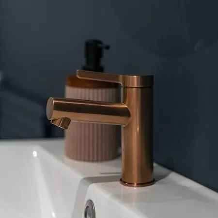 Cocon Clermontois - Moderne Et Cosy * كليرمونت-فيراند