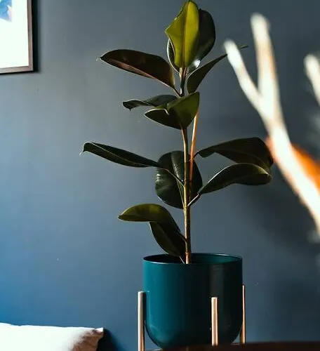 Cocon Clermontois - Moderne Et Cosy Clermont-Ferrand